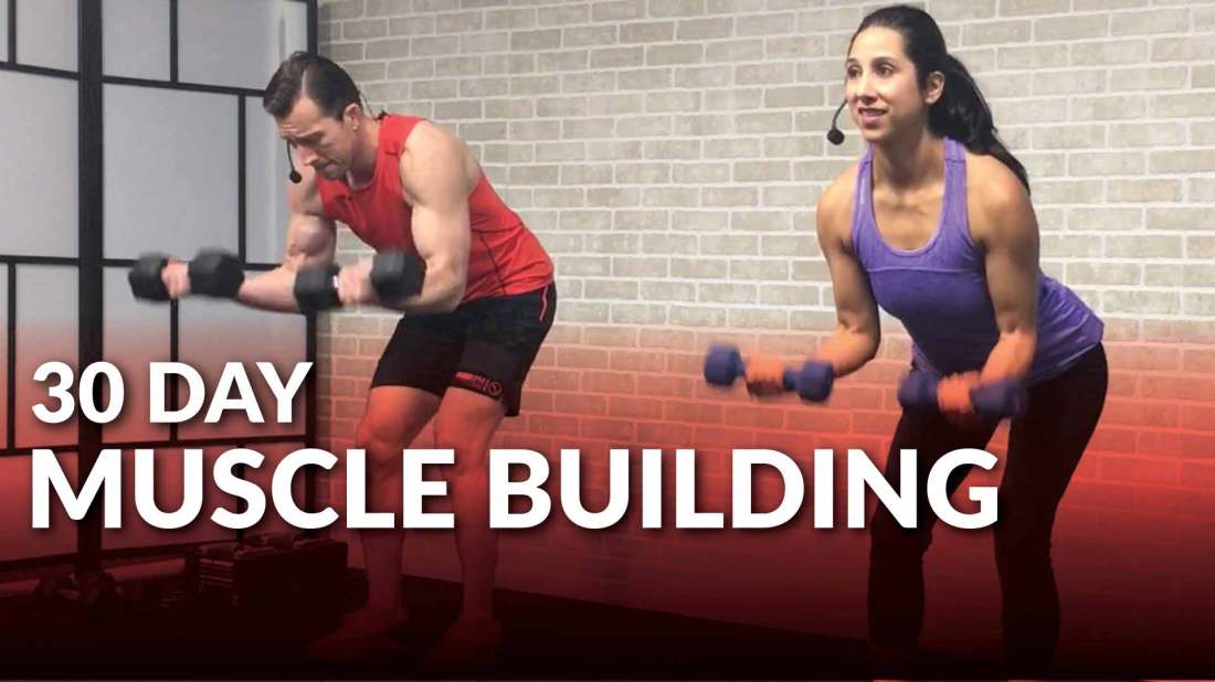muscle-building-program-update.jpg